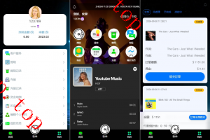 亲测新款源码全新多语言 音乐抢单系统 派单连单卡单 实名认证 刷单系统 打针
